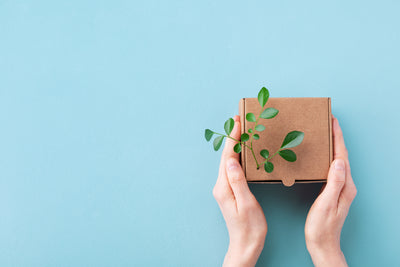 Eco-friendly packaging solutions for your business