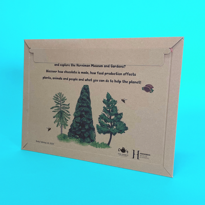 Customised Printed Cardboard Envelopes - Standard Solid Board - 249x352mm