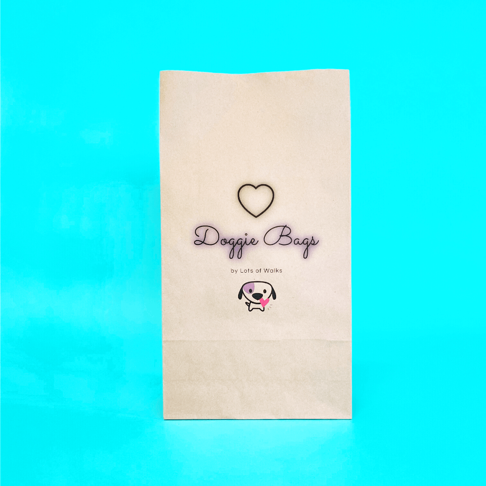 Customised Printed Brown Paper Bags - 150x65x305mm - Sample