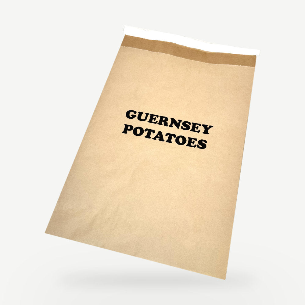 Customised Printed Heavy Duty Paper Mailing Bags