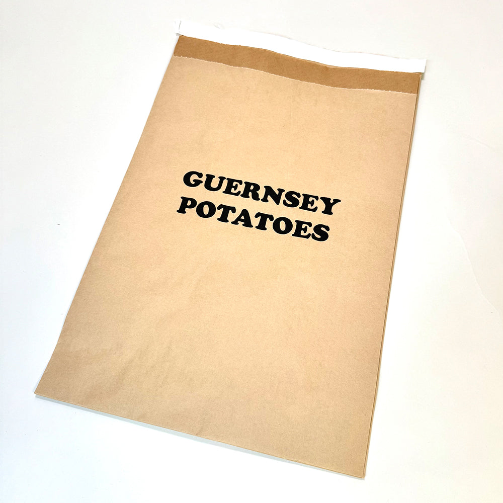 Customised Printed Heavy Duty Paper Mailing Bags