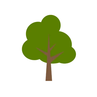 Trees Planted Monthly